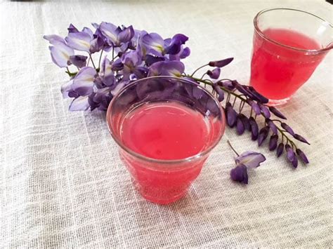 Are Wisteria Flowers Edible: A Delicate Discussion on Taste and Texture