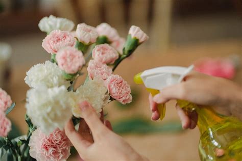 how to clean silk flowers: the delicate art of preserving floral beauty