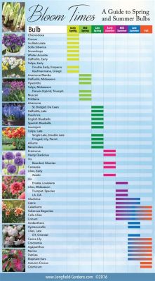 What Flowering Beauties Bloom in June: A Diverse Guide to Planting