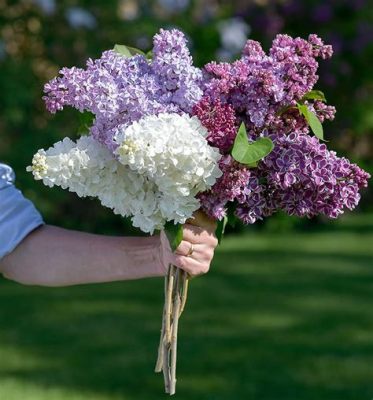 what to do with lilac flowers? A bouquet of perspectives